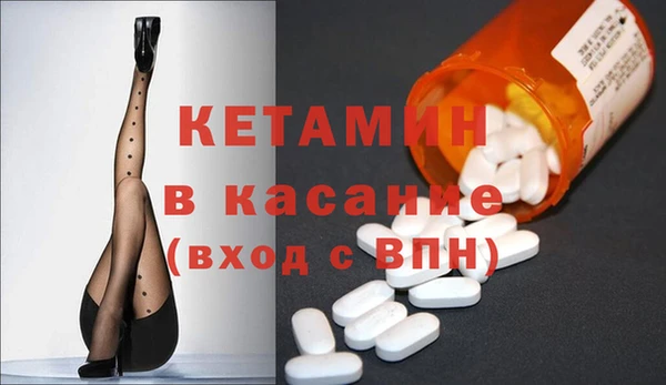 стаф Алзамай
