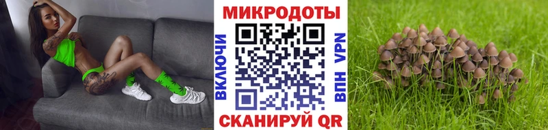 мега онион Бокситогорск Галлюциногенные грибы GOLDEN TEACHER где найти